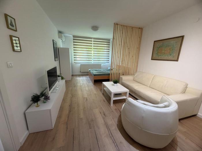 Vasils Apartment