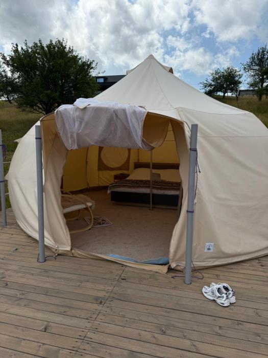 Glamp Shepit