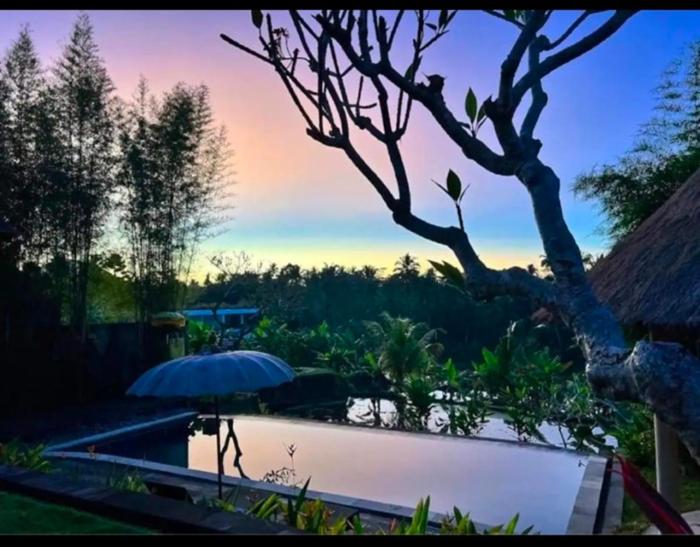 Slice of Paradise - Beautiful Villa in Rice Fields
