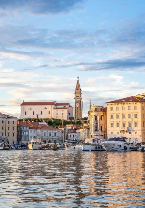Sunny Piran, Old Town Studio