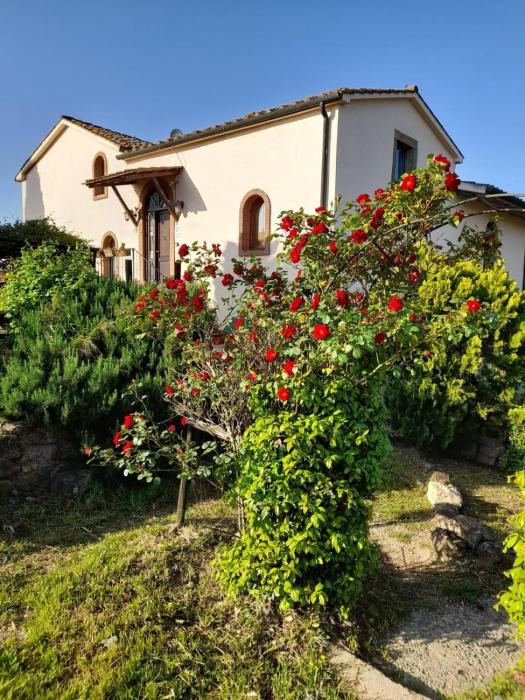 Borgo de Muracci