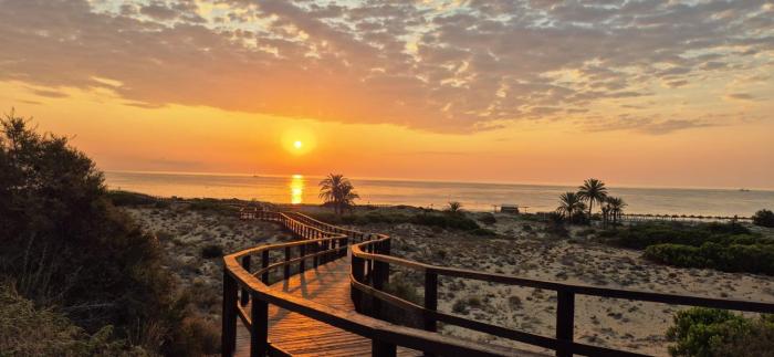 Apartamento primera línea de playa