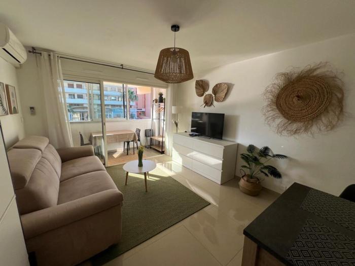 Cocon bord de mer, elegant apartment with AC and parking and wifi