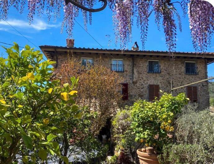 La Corte dei Limoni - Countryside Retreat