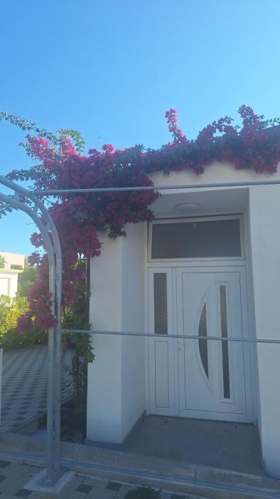 Villa Olea