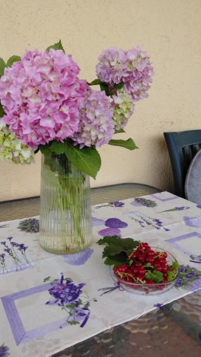 MARA Apartment near Budva & Jaz Beach