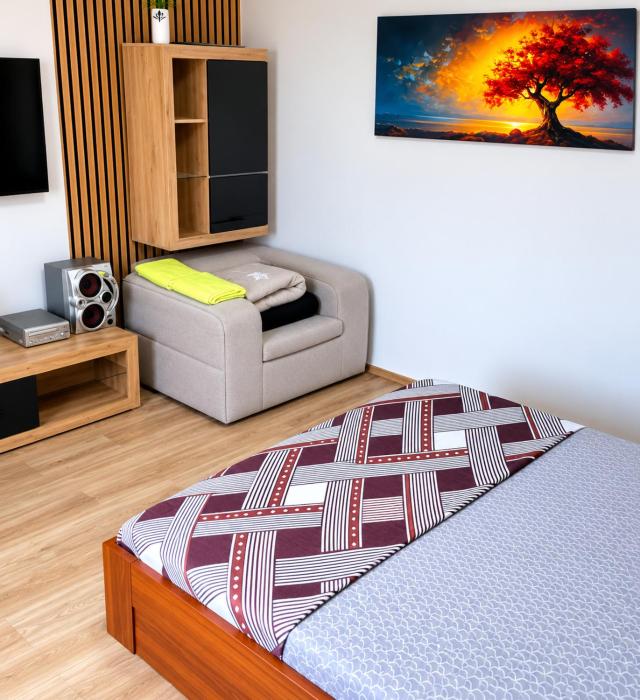 Apartman Pejovic N