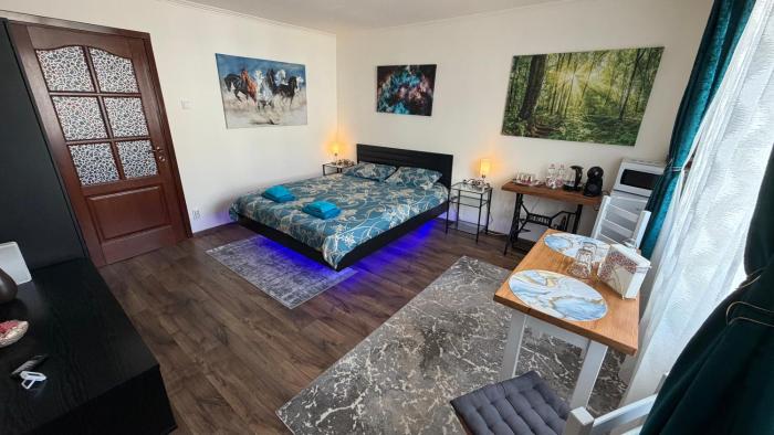 Alio Room Campulung Moldovenesc