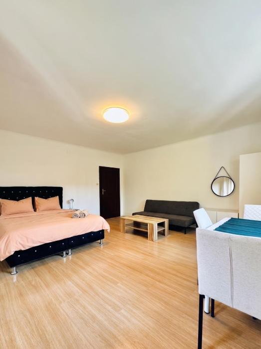 Affordable Rooms in a Villa with Garden near Danube For Long stay