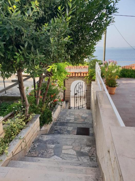 Vicko villa