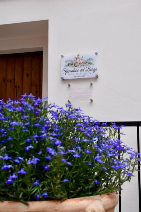 Sfumature del Borgo