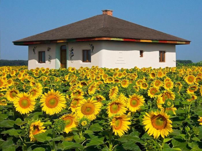 Casa din Pamant in Mijlocul Naturii