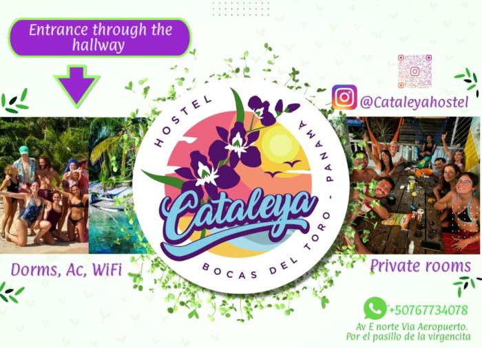Cataleya BDT