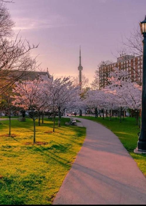 Queen St Prime AC Suite, Walk to FIFA Fan Zone, BMO Field, Toronto Stadium, Fifa Matches and After Festival, CN Tower and Harbourfront