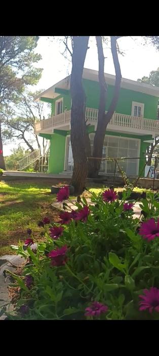 Vjosa River Rooms