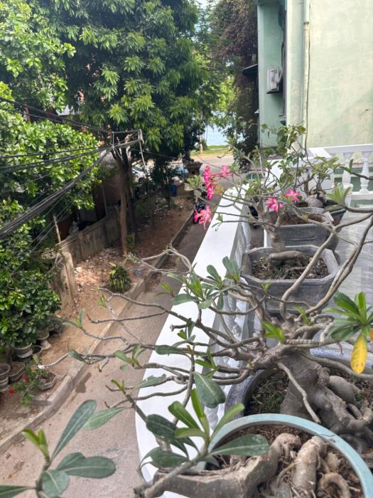 A T Homestay