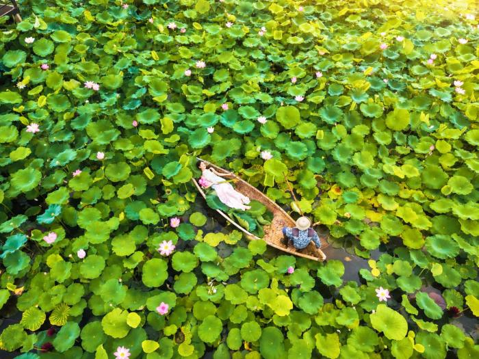 Lotus Hotel Vuon Vua Phu Tho
