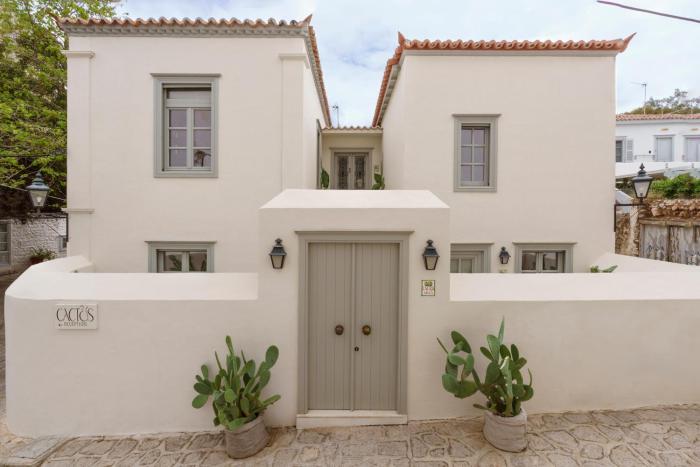 Cactus Hydra - Art Apartments