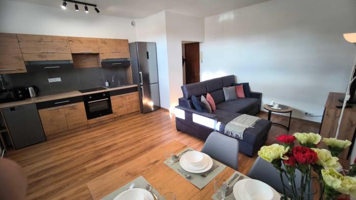 Apartament Hanza Loft