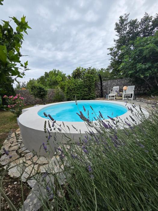 Apartment Davor with a private heated pool