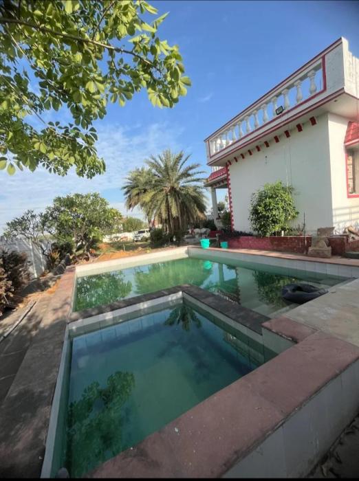 Farm vibe with nature