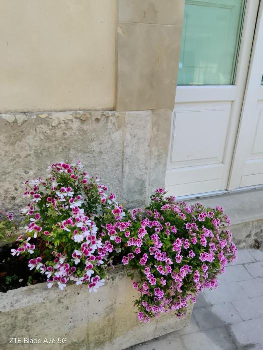 Casa Vacanze A Truatura