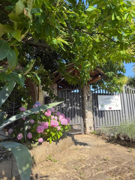 A Casa di nonna Emilia