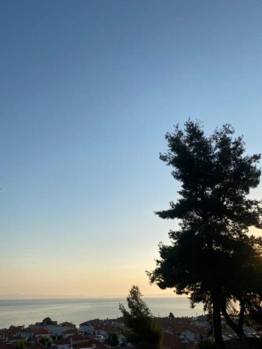 Matello Summer sea view