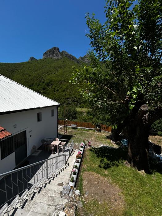 Aldo House
