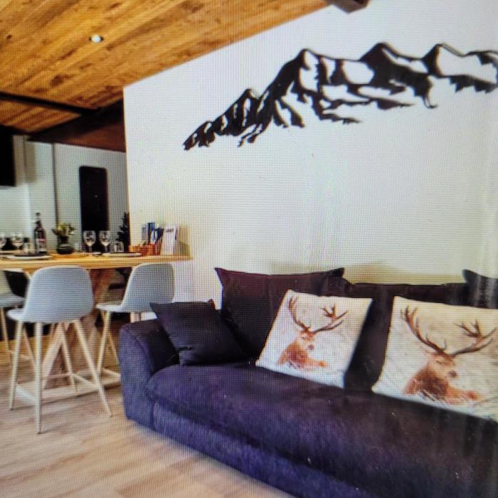 Elegant and completely renovated house in Praz-sur-Arly