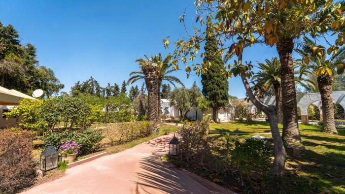 Palm Paradise 3BR Villa · Pool · La Soukra
