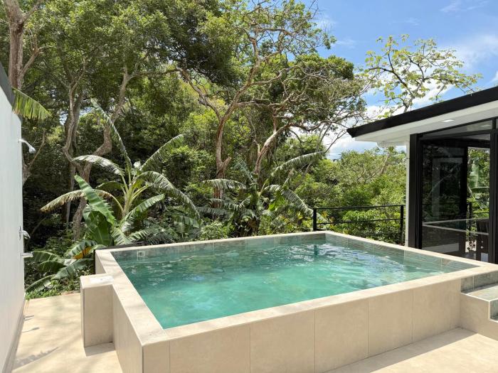 Casa La Paz, Paix, Jungle, Singes, Piscine à Atenas
