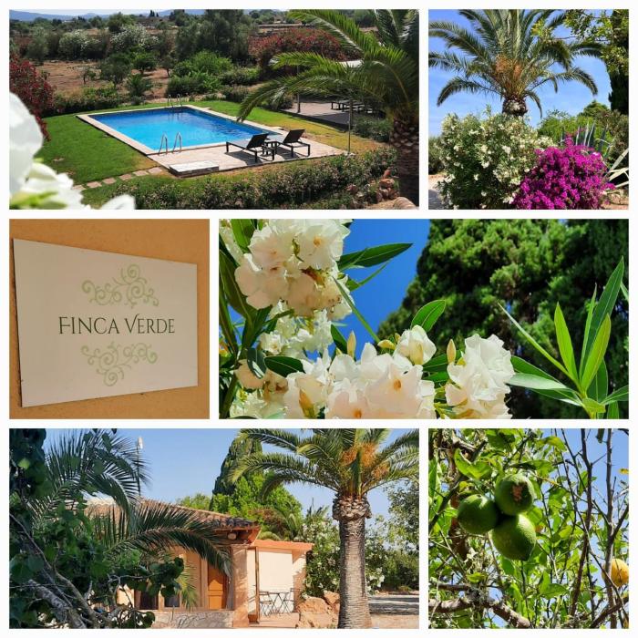 Finca Verde