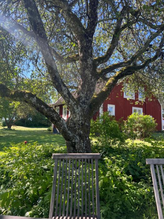 Malingstorp - Cottage with lake and sauna