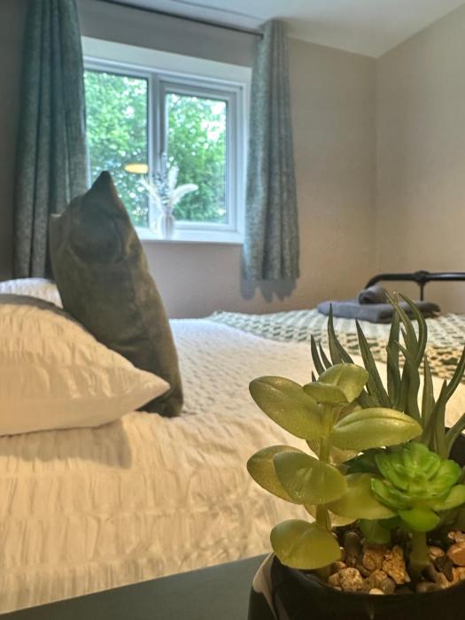 Cosy Ground Floor One Bedroom Flat Parking