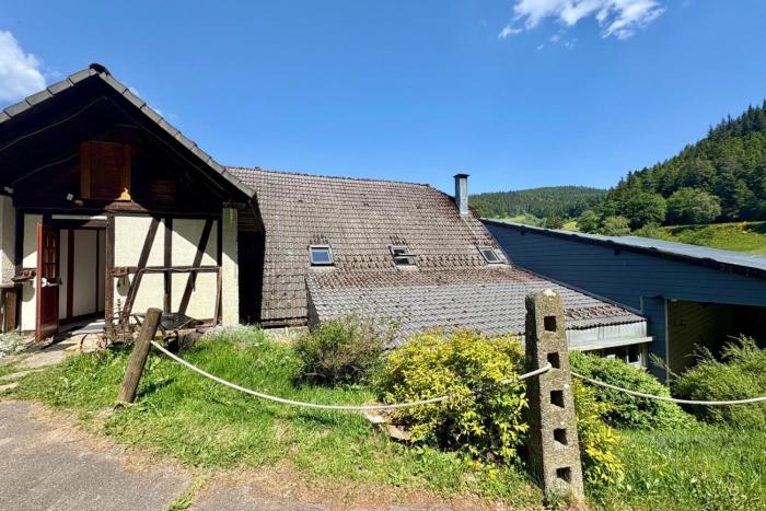 Large house with garden and terrace in Lapoutroie