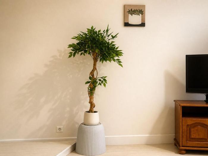 Appartement vintage family