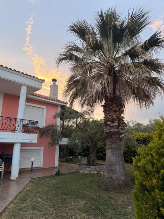 Olea House