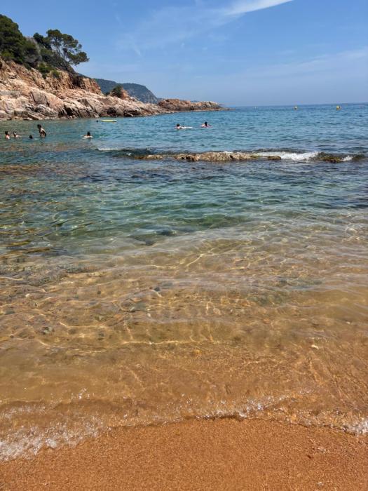 Fragata A8