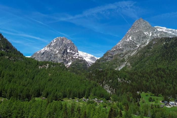 Chalet Montet Forest River Garden Lodge - Happy Rentals