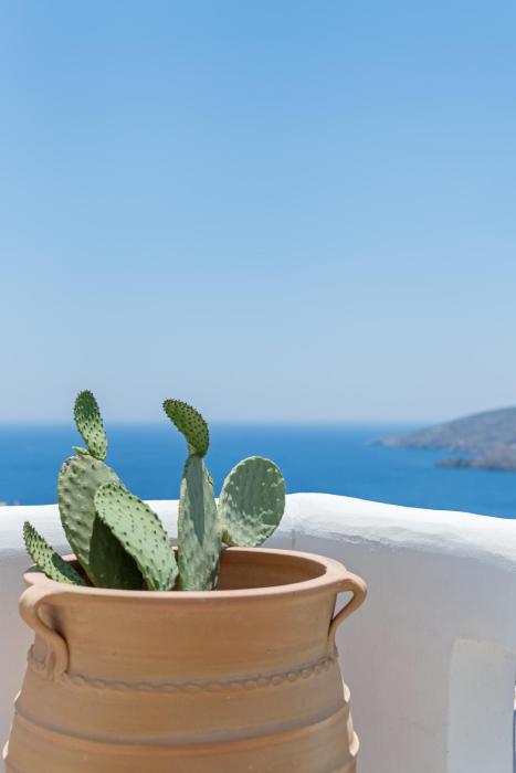 Aforastypalaia, Veranda House