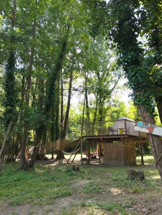 tente type yourth dans les bois proche animaux