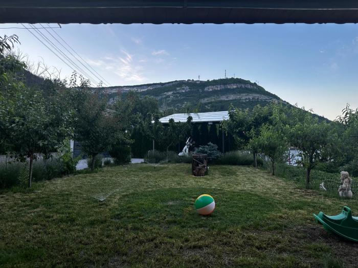 Mountain Panorama Garden BBQ ECO