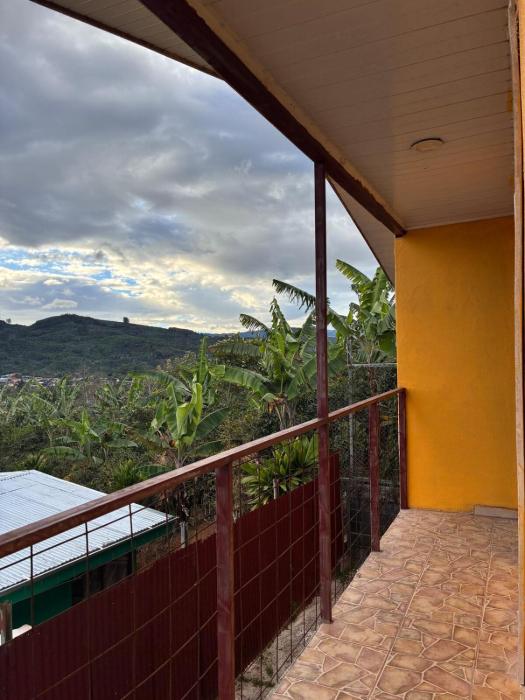 Golden Jungle Hideaway