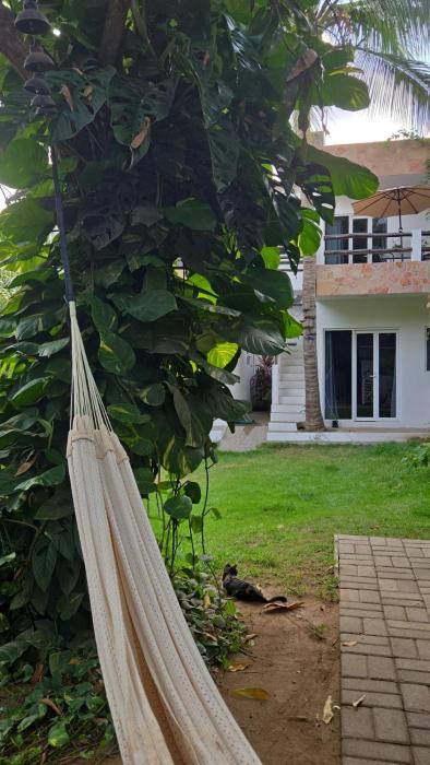 Casa Mango Jardin