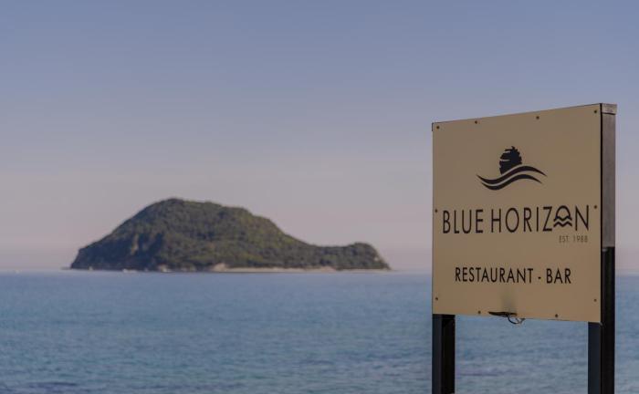 Blue Horizon Studios