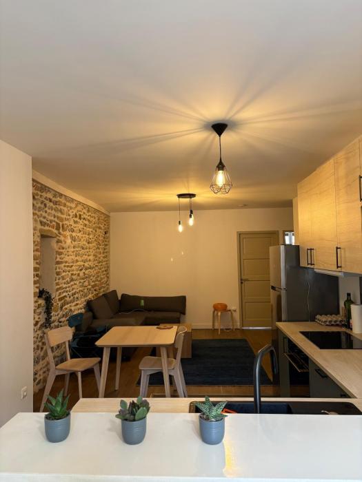 Apartment in the center of Grenoble - mountain view
