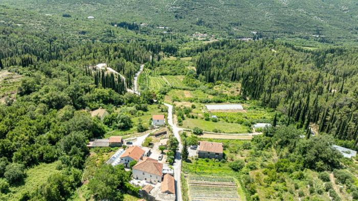 Villa Trojanovic by Villas Guide