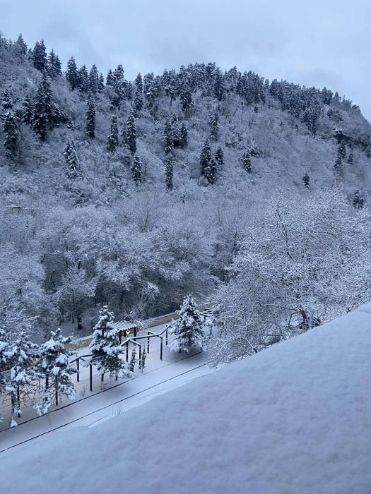 The sunny Terrace Borjomi