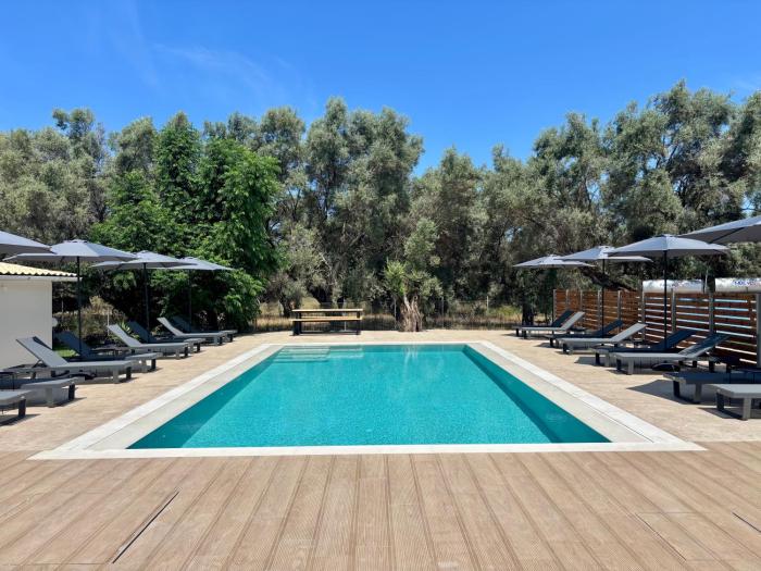 Olive Tree Apartments